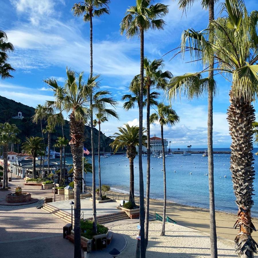 The Edgewater Hotel Avalon Luaran gambar